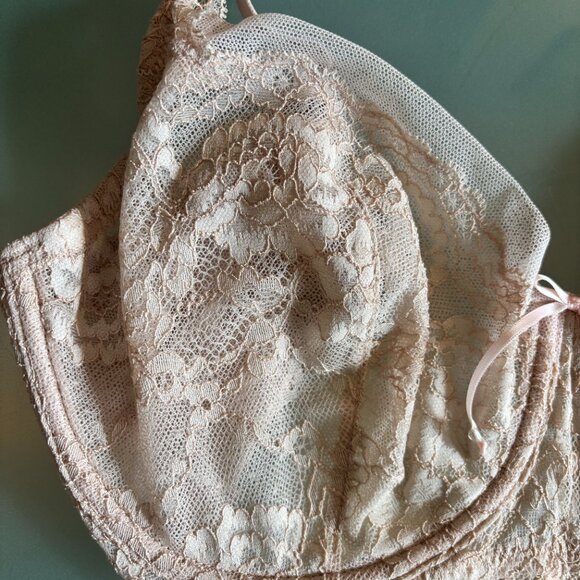 Beautiful lace Skarlett Blue bra - Size 34DDD - Minx Lace Balconette - Picture 3 of 10